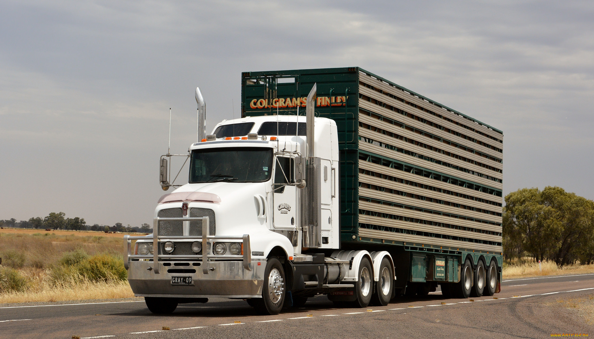 Big grays. Kenworth t604. Кенворт т 604. Австралийские тягачи. Седельный тягач.